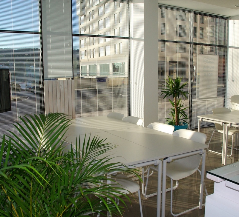 The Green Office Revolution: Carbon-Neutral Workspaces in 2025