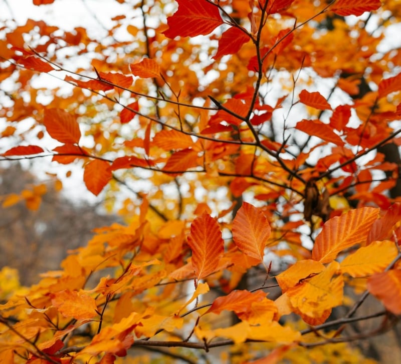 A Designer’s Perspective on Photo Enhancement