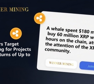 XRP Boom Meets WinnerMining — Turn Market Waves Into Daily Payouts