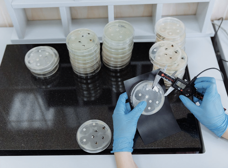 Cell Culture Dishes – The Foundation of In Vitro Biology