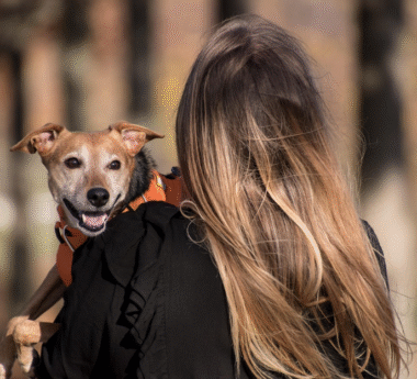 8 Essential Pet Meals Packed with Protein and Natural Ingredients