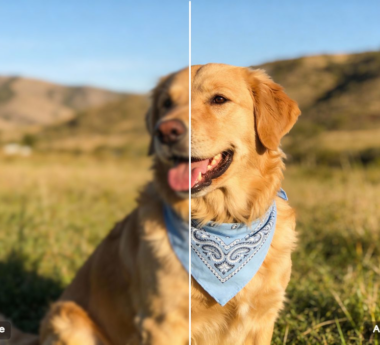 Best Free 2026 Upgrade: Enhance Your Photo, Then Convert It to 4K