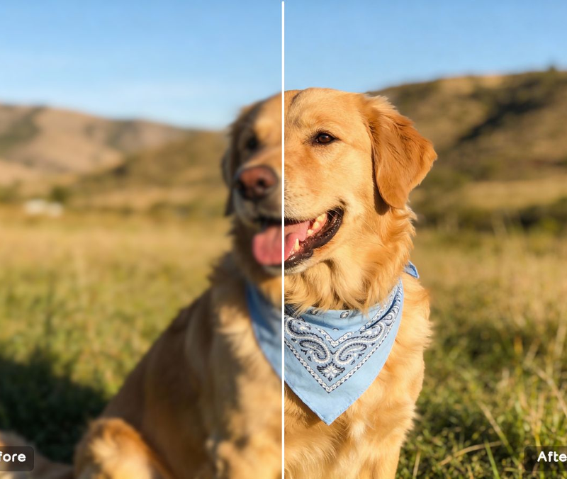 Best Free 2026 Upgrade: Enhance Your Photo, Then Convert It to 4K