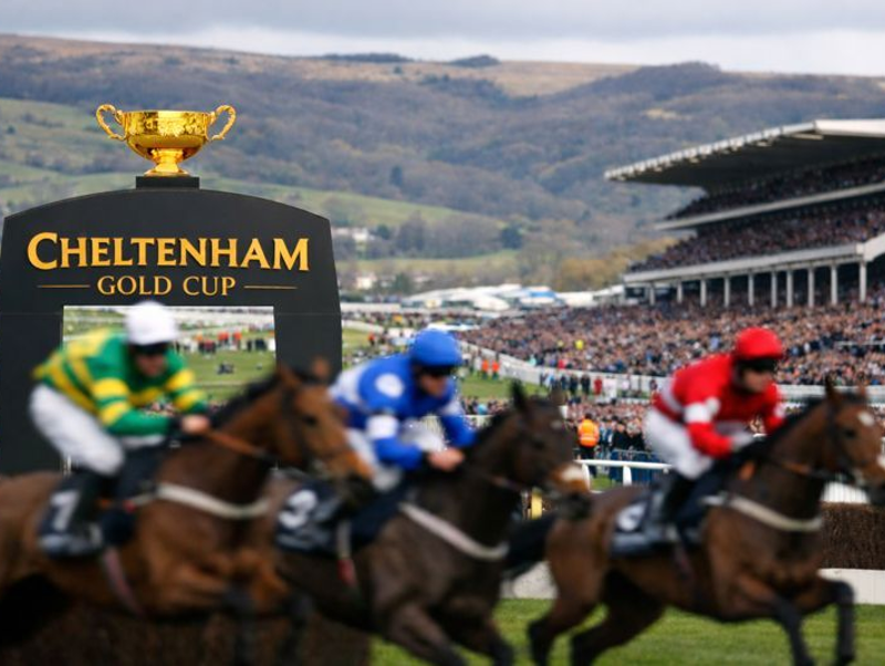 Cheltenham Gold Cup: History, Winners, Odds & Betting Guide (2026)