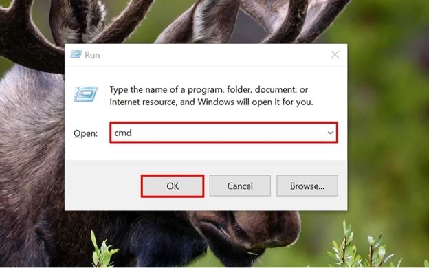 enter cmd command choose ok button