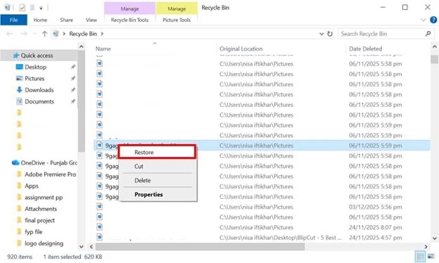 choose restore option