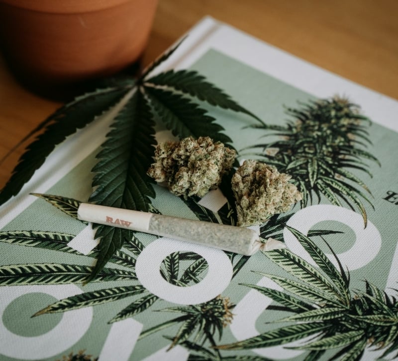 The Visual Language of Cannabis Branding